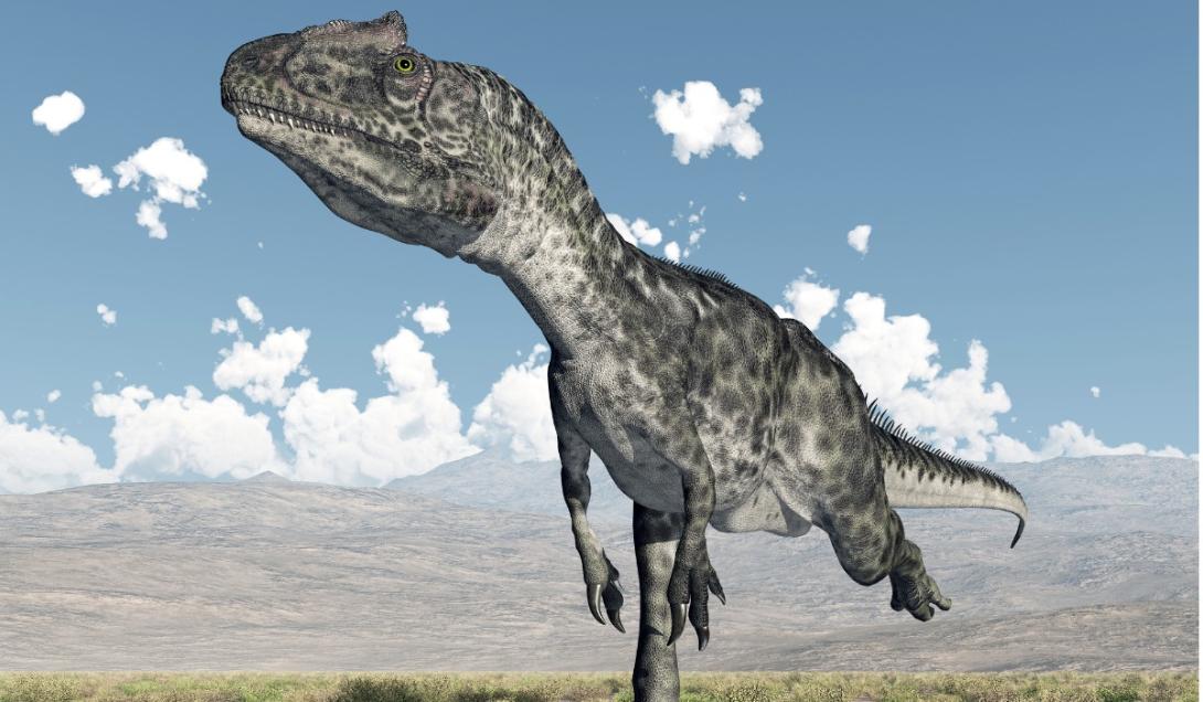 Identifican un dinosaurio carnívoro y de brazos cortos en Chile-0