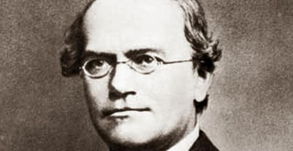 Nació Gregor Mendel-0