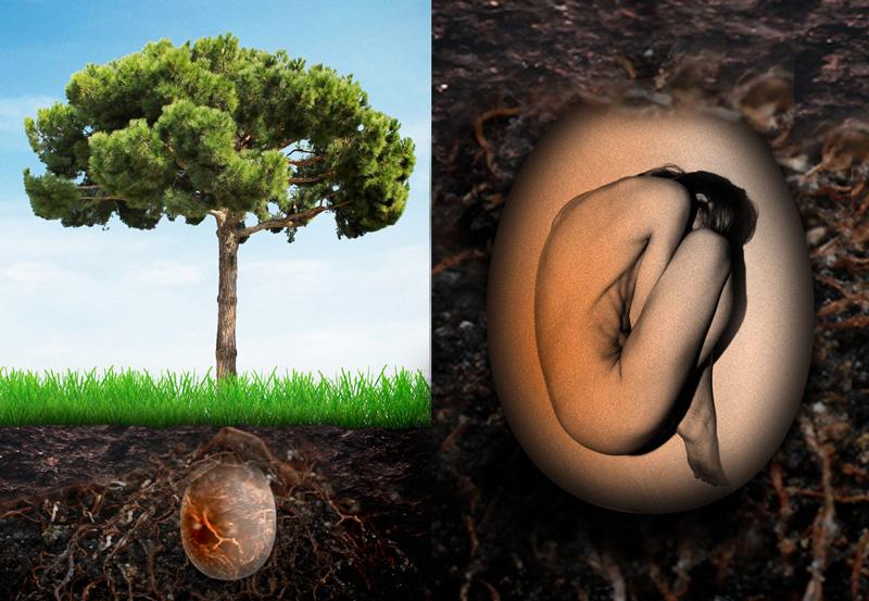La "sepultura orgánica" que transforma a los difuntos en árboles hermosos-0