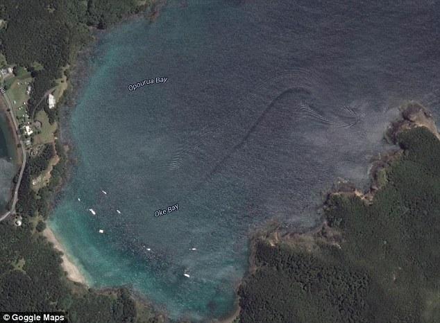 Demasiado grande para ser un tiburón; demasiado rápido para ser una ballena: ¿qué misteriosa criatura logró captar Google Earth en la costa de Nueva Zelanda?-0