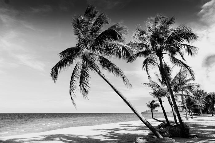 La misteriosa isla tropical donde sus pobladores solo ven en blanco y negro-0