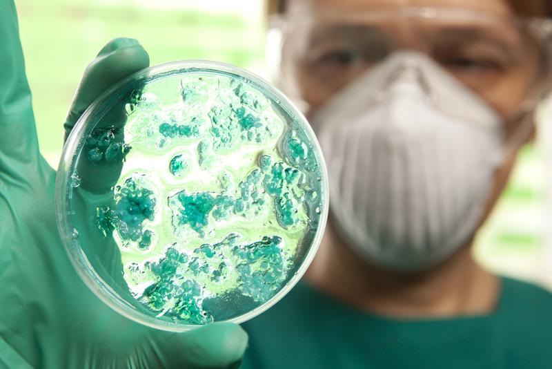 Alerta científica: un nuevo virus mortal amenaza al mundo-0