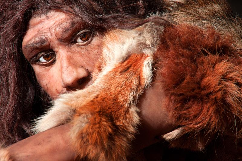 Neandertales arquitectos: gran hallazgo prehistórico-0