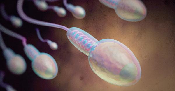 Advertencia científica: la mala calidad del esperma de los hombres podría extinguir la especie humana-0