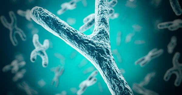 Alerta científica: el cromosoma Y está desapareciendo inexorablemente-0