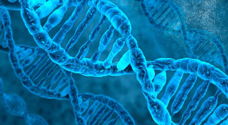¿Puede una persona tener dos tipos de ADN? La respuesta es increíble-0