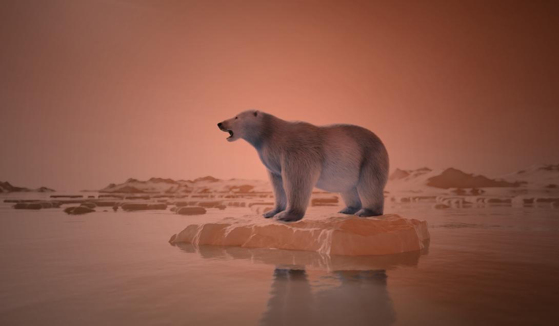Alarma mundial por un histórico récord de calor en el Ártico: más de 38 grados de temperatura-0