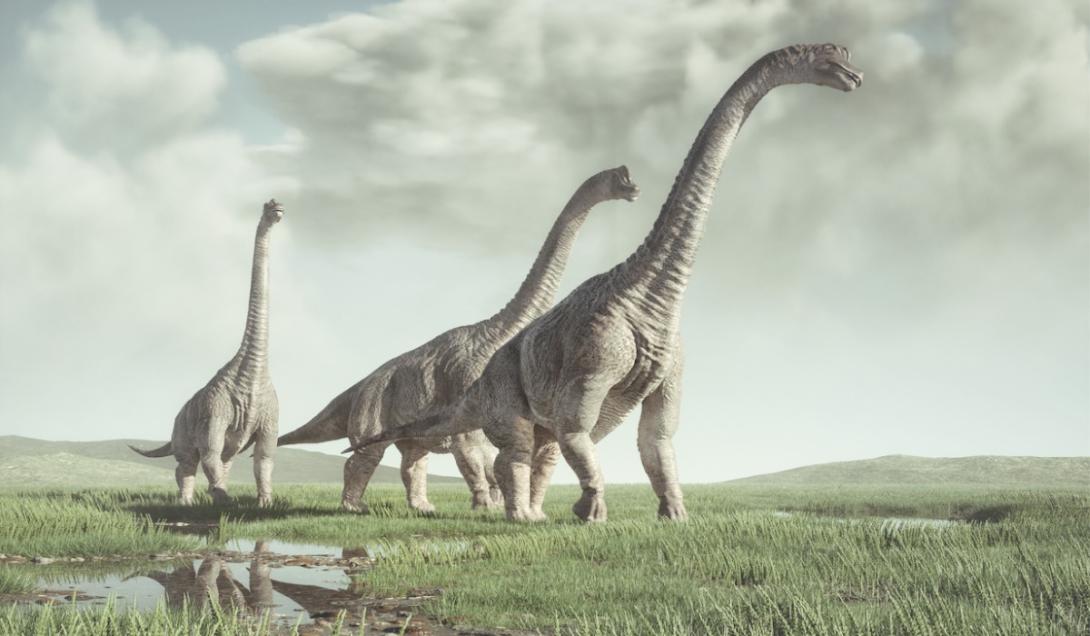 Asombroso: los dinosaurios adultos cuidaban a las crías de toda la manada-0